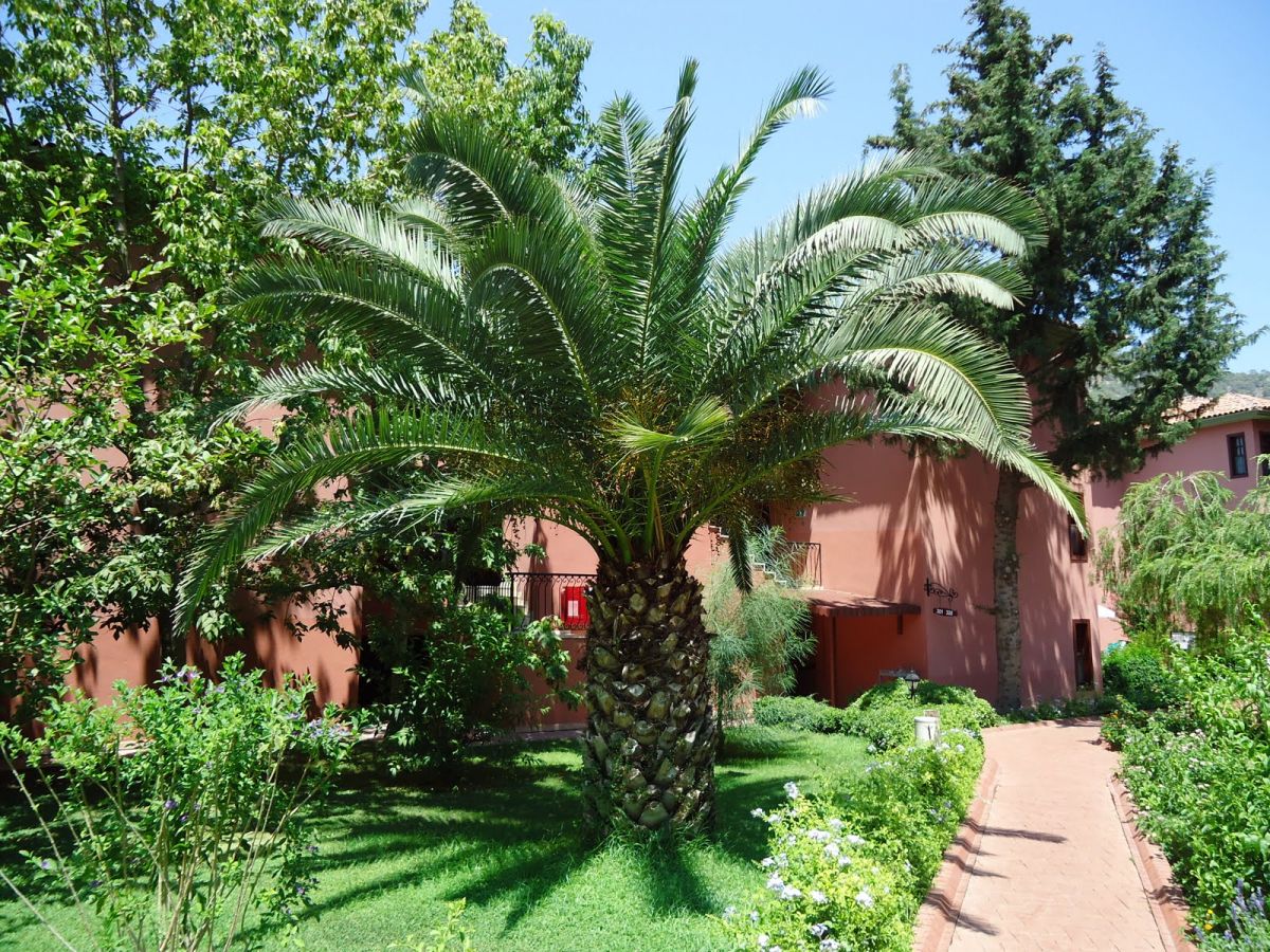 imagini hotel CLUB SUN CITY OLUDENIZ